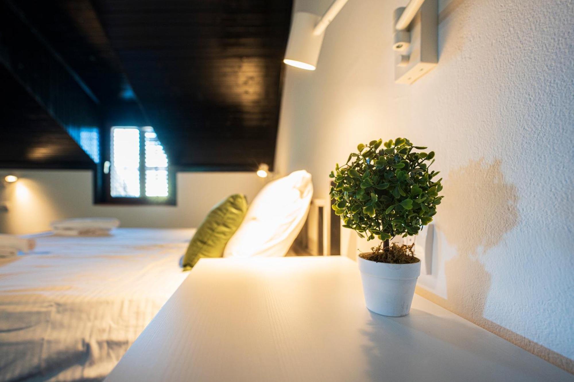 Cozy Nook B&B - Free Private Parking 诺威萨 外观 照片